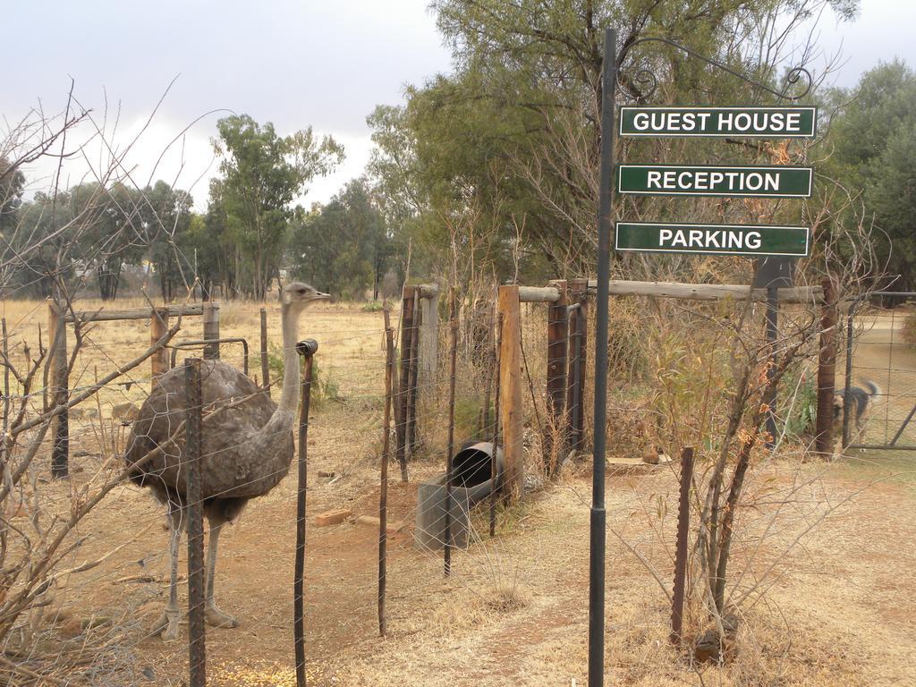 Olive Hill Country Lodge Bloemfontein Esterno foto