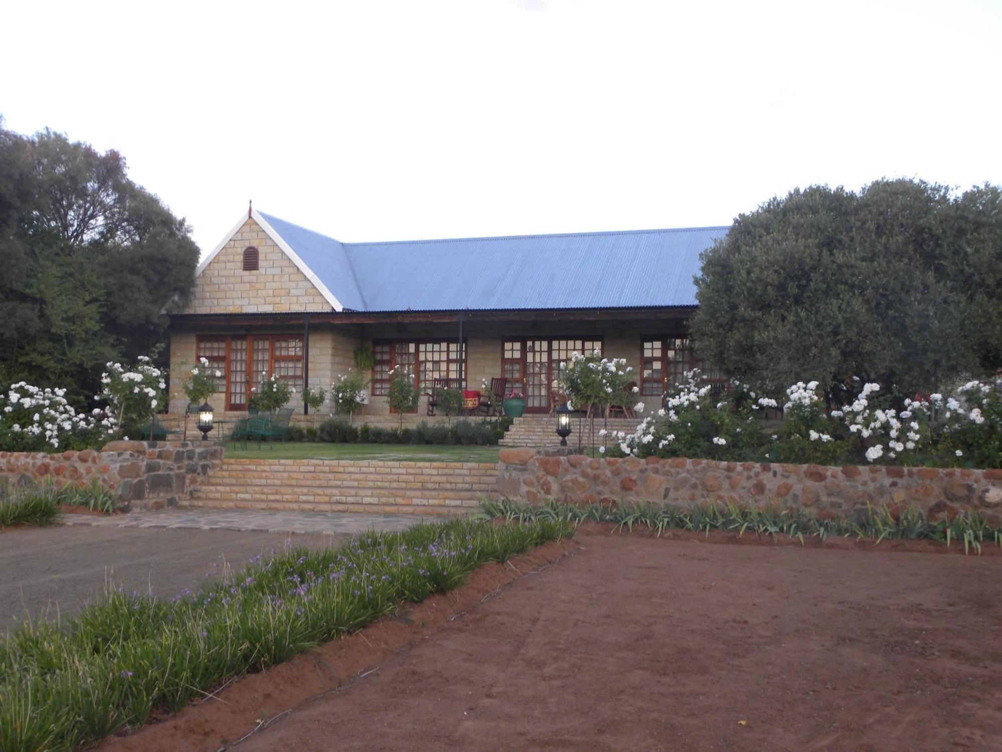 Olive Hill Country Lodge Bloemfontein Esterno foto